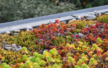the cost of Pasturefields green roof installation