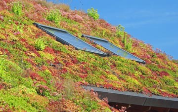 Pasturefields living roof systems